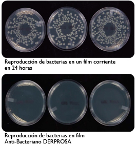 Bacterias_film_cotidiano_vs_Anti-Bacteriano_Derprosa