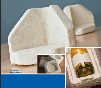 Embalaje-Restore-Mushroom