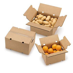 caja-envio-frutas-y-verduras-solapas
