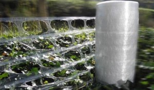 2-film-macroperforado-4-500x2941