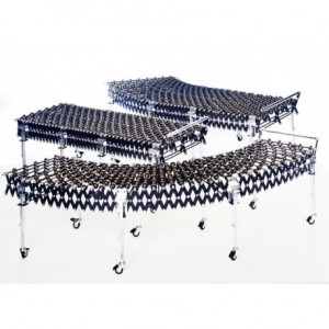 transextensible-roldanas