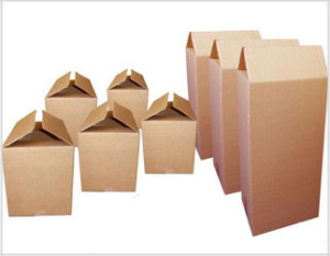contencion_caja_carton EPAD