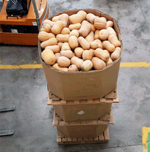 Embalajes para frutas de gran calibre