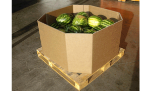 Embalajes para frutas de gran calibre