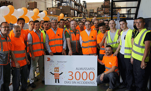 DS Smith Tecnicarton