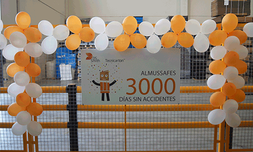 DS Smith Tecnicarton