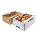 El sector de Embalaje para E-Commerce en España