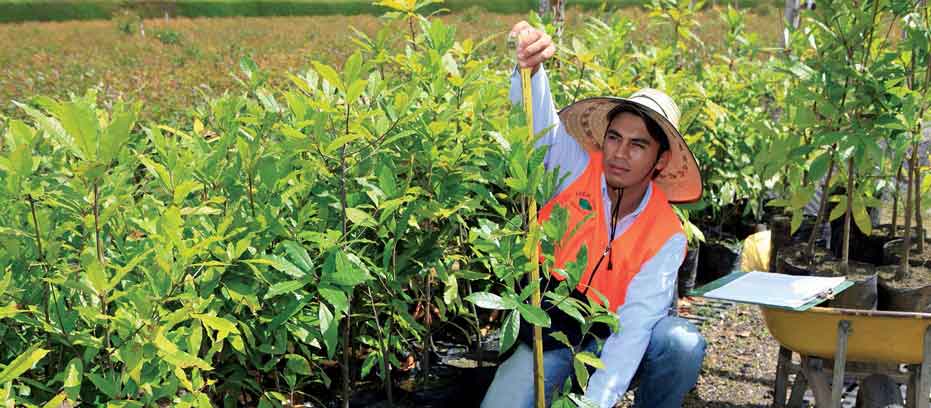 Suministro sostenible