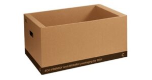 Capsa CarrBox Delivery